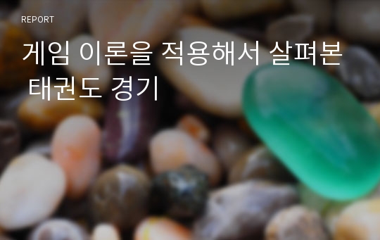 게임 이론을 적용해서 살펴본 태권도 경기