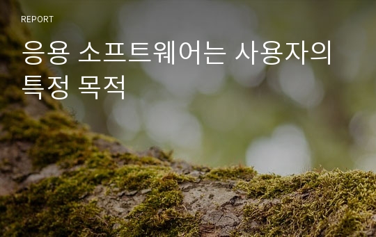 응용 소프트웨어는 사용자의 특정 목적