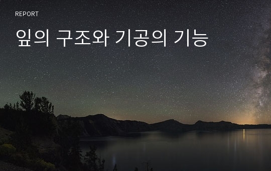 잎의 구조와 기공의 기능