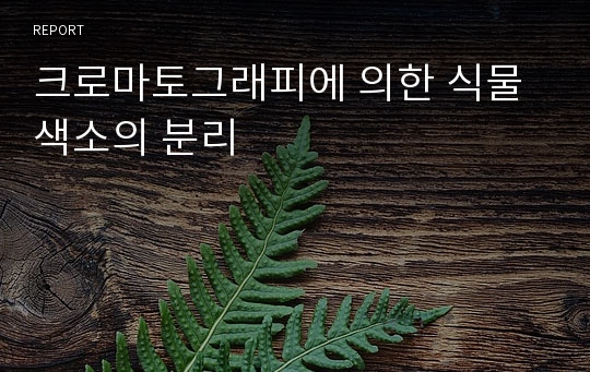 크로마토그래피에 의한 식물색소의 분리