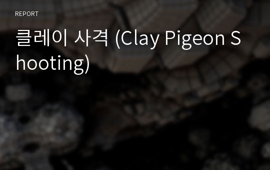 클레이 사격 (Clay Pigeon Shooting)