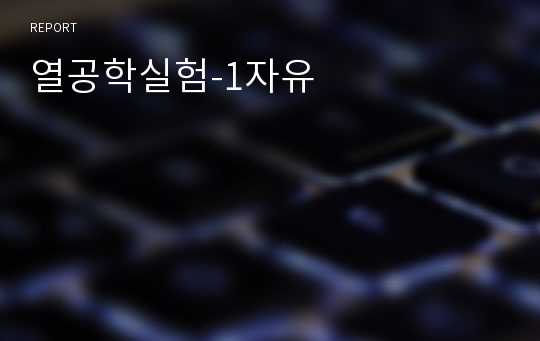 열공학실험-1자유