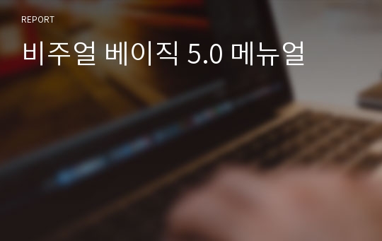 비주얼 베이직 5.0 메뉴얼