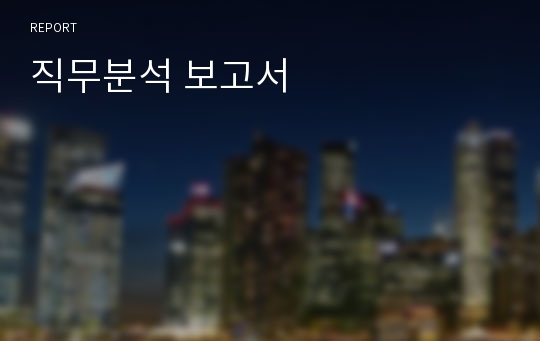 직무분석 보고서