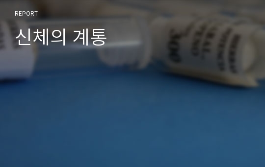 신체의 계통