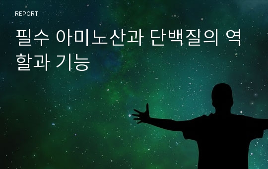 필수 아미노산과 단백질의 역할과 기능