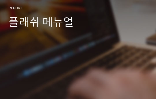 플래쉬 메뉴얼