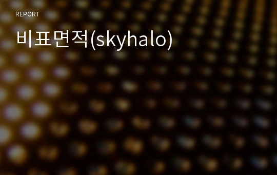 비표면적(skyhalo)