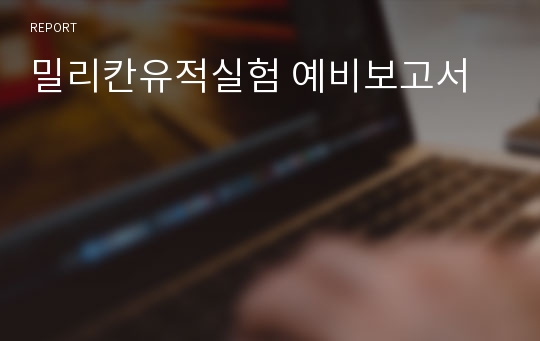 밀리칸유적실험 예비보고서