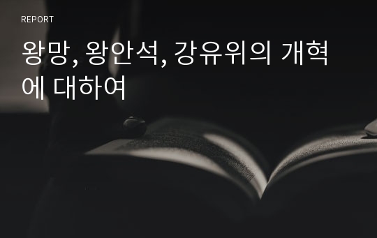 왕망, 왕안석, 강유위의 개혁에 대하여