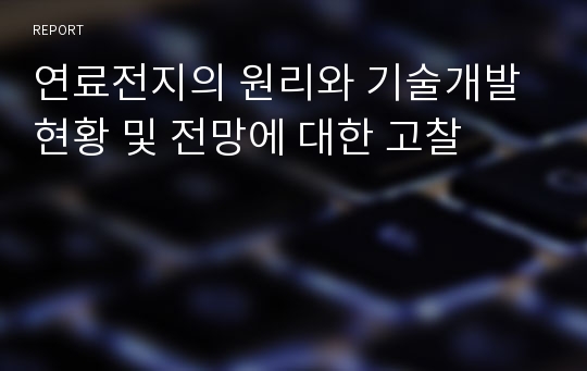 연료전지의 원리와 기술개발 현황 및 전망에 대한 고찰