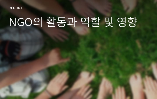 NGO의 활동과 역할 및 영향