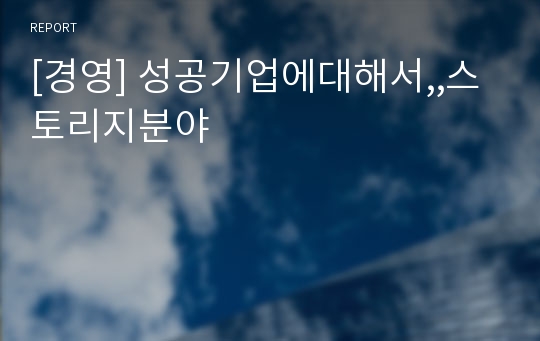 [경영] 성공기업에대해서,,스토리지분야