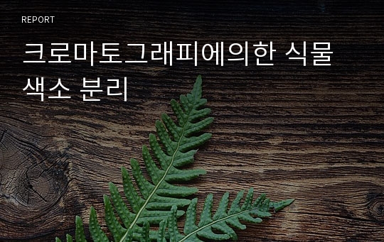 크로마토그래피에의한 식물색소 분리