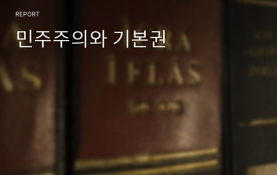 민주주의와 기본권