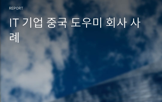 IT 기업 중국 도우미 회사 사례