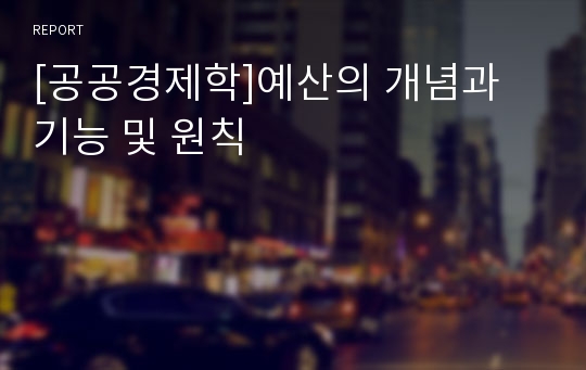 [공공경제학]예산의 개념과 기능 및 원칙