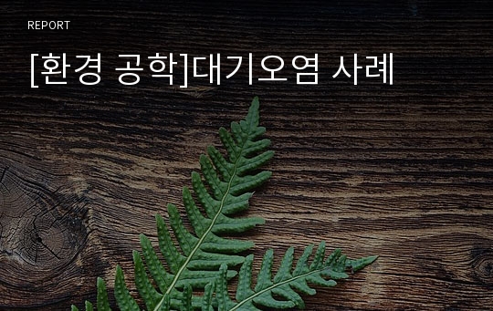 [환경 공학]대기오염 사례