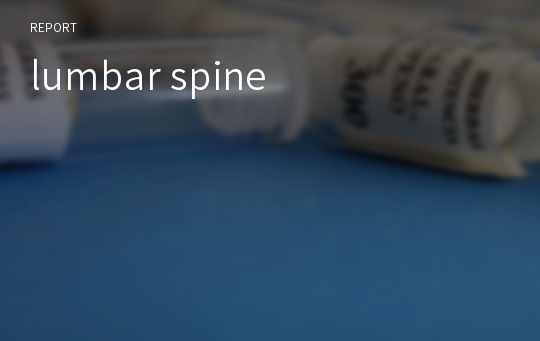 lumbar spine