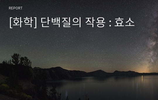 [화학] 단백질의 작용 : 효소