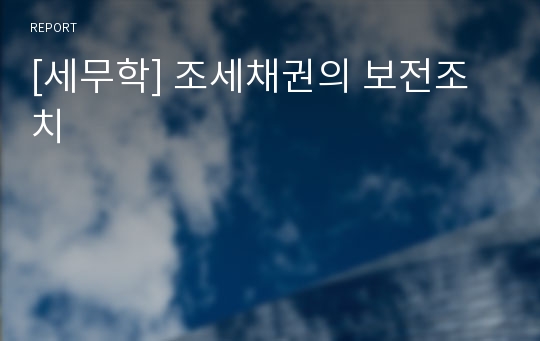 [세무학] 조세채권의 보전조치