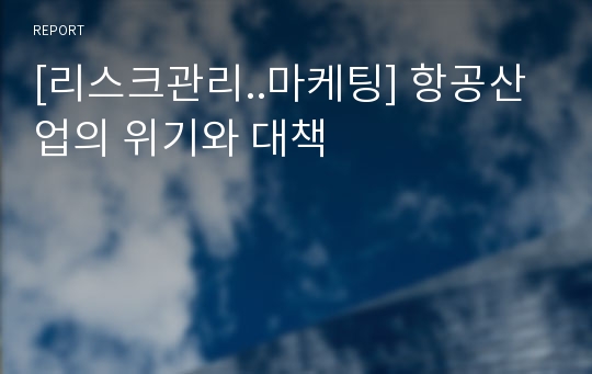 [리스크관리..마케팅] 항공산업의 위기와 대책