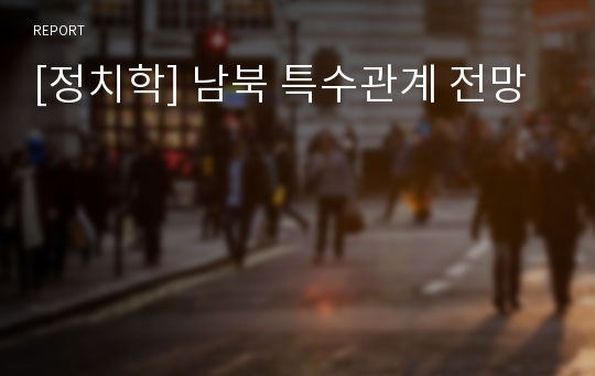 [정치학] 남북 특수관계 전망