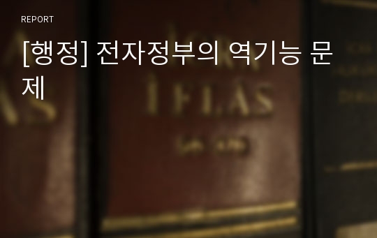 [행정] 전자정부의 역기능 문제