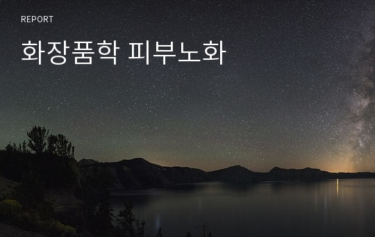 화장품학 피부노화