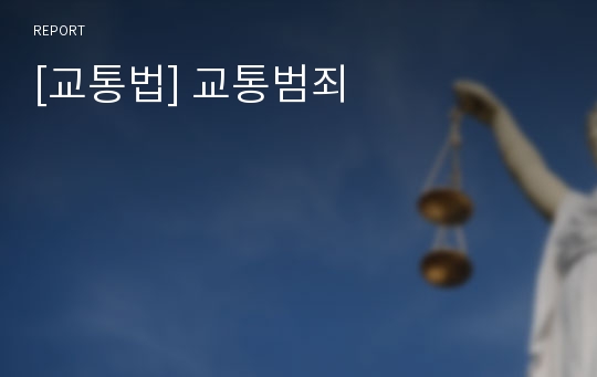 [교통법] 교통범죄