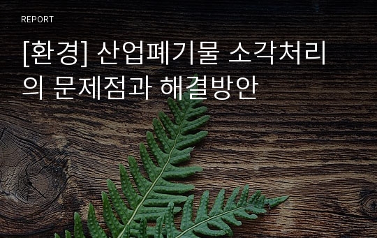 [환경] 산업폐기물 소각처리의 문제점과 해결방안