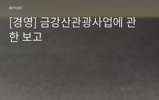 [경영] 금강산관광사업에 관한 보고