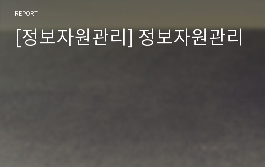 [정보자원관리] 정보자원관리