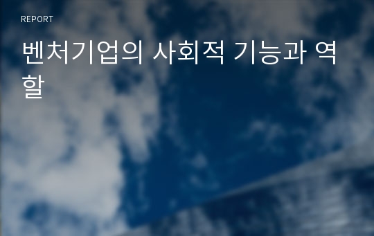 벤처기업의 사회적 기능과 역할