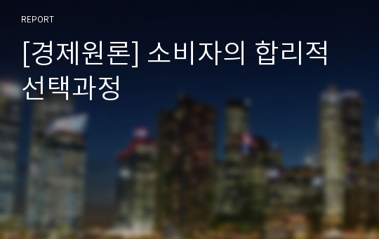 [경제원론] 소비자의 합리적 선택과정