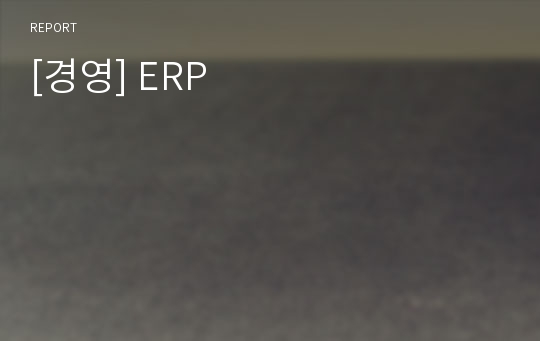 [경영] ERP