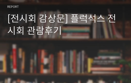 [전시회 감상문] 플럭석스 전시회 관람후기