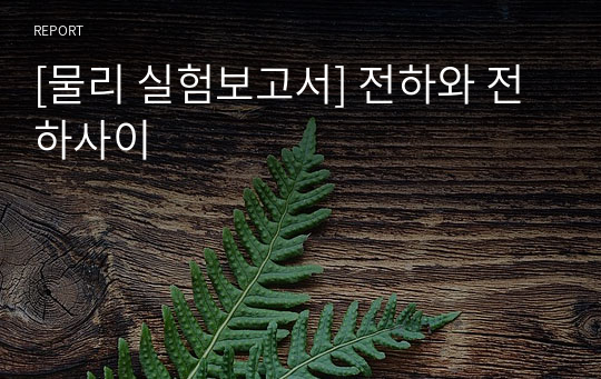 [물리 실험보고서] 전하와 전하사이