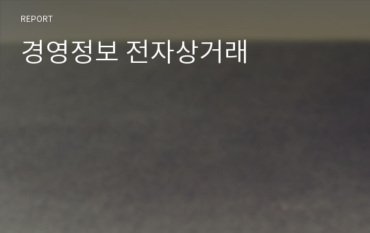 경영정보 전자상거래