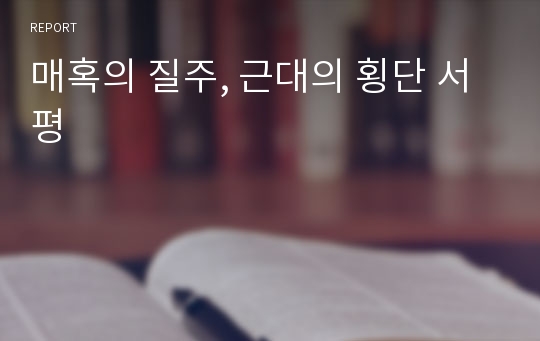 매혹의 질주, 근대의 횡단 서평