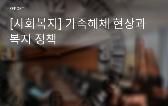 [사회복지] 가족해체 현상과 복지 정책