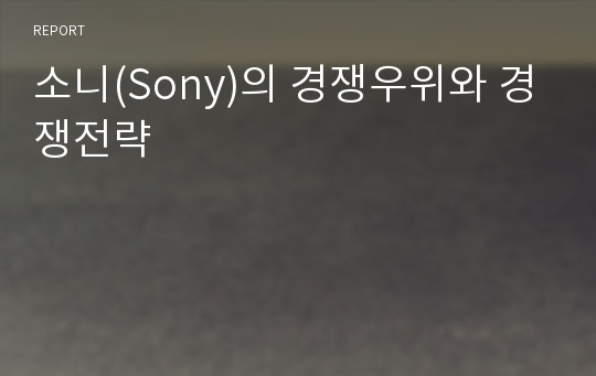 소니(Sony)의 경쟁우위와 경쟁전략