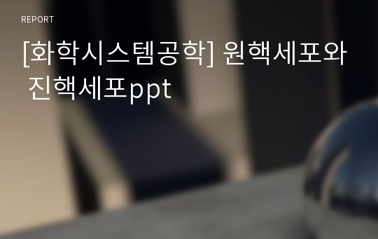 [화학시스템공학] 원핵세포와 진핵세포ppt