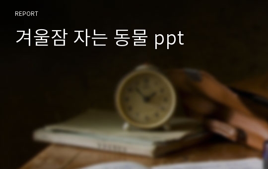 겨울잠 자는 동물 ppt