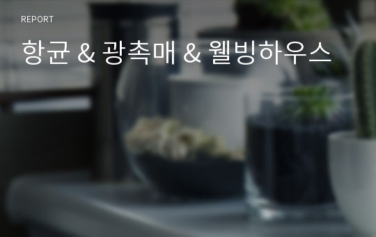 항균 &amp; 광촉매 &amp; 웰빙하우스