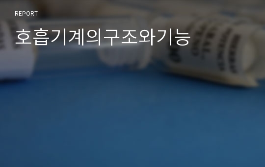 호흡기계의구조와기능