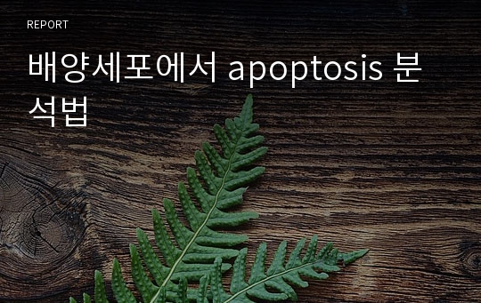 배양세포에서 apoptosis 분석법