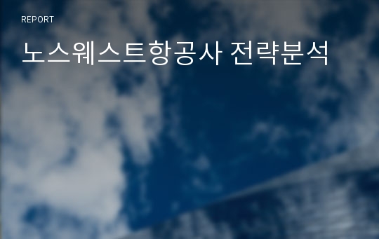 노스웨스트항공사 전략분석