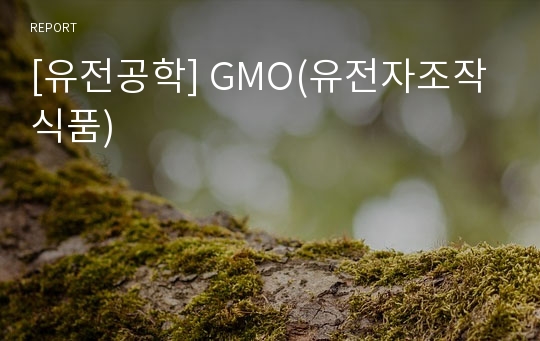 [유전공학] GMO(유전자조작식품)