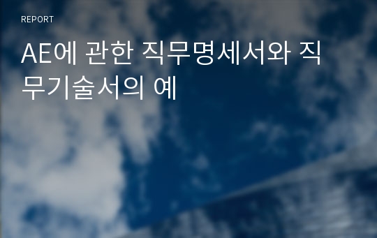 AE에 관한 직무명세서와 직무기술서의 예